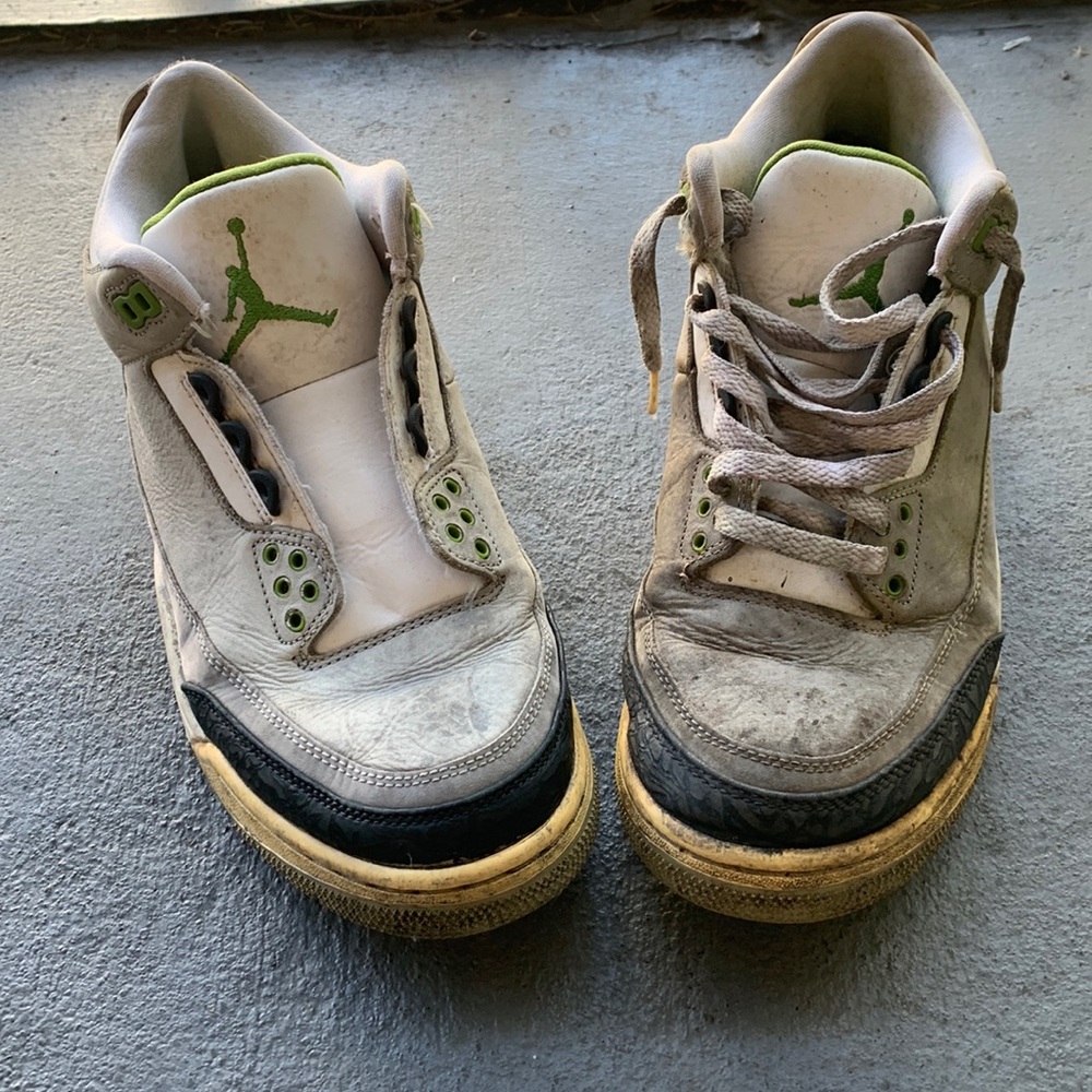 Jordan 3 chlorophyll